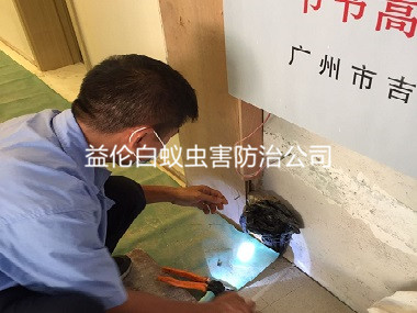 廣州企業滅白蟻工程