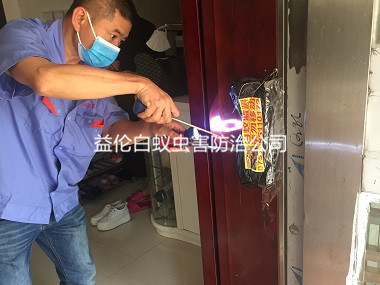 天河區住宅白蟻防治工程