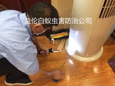 天河中怡城市花園小區治白蟻