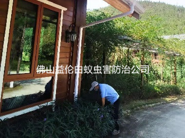 明城農莊滅治老鼠蟲害