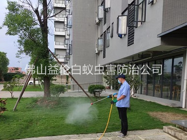 丹灶小區殺滅蚊蠅工程