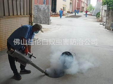 和順街道消滅蚊蟲工程