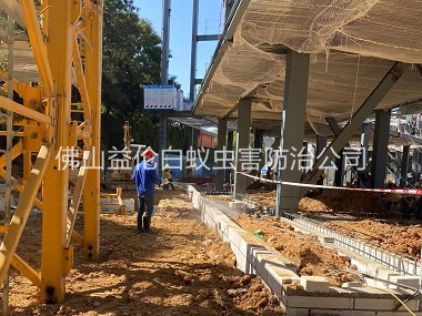 官窯新建白蟻預(yù)防工程