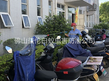 大瀝廠區(qū)殺蟲滅蚊工程