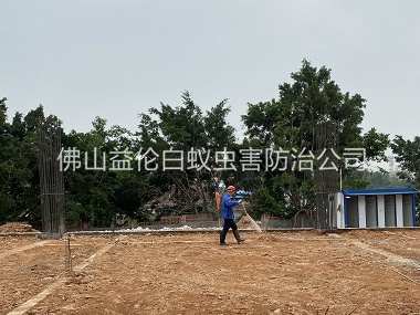 西樵新建地基預(yù)防白蟻工程