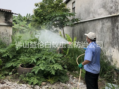 南海區(qū)消滅蚊子工程