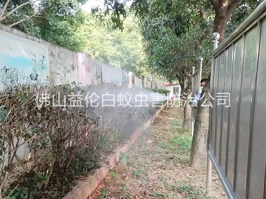 平洲綠化帶蚊蠅防治工程