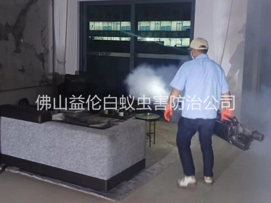 鹽步室內滅蚊蟲工程