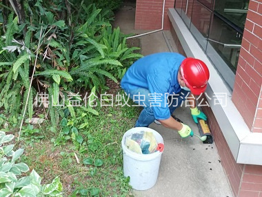 南海施藥滅鼠工程